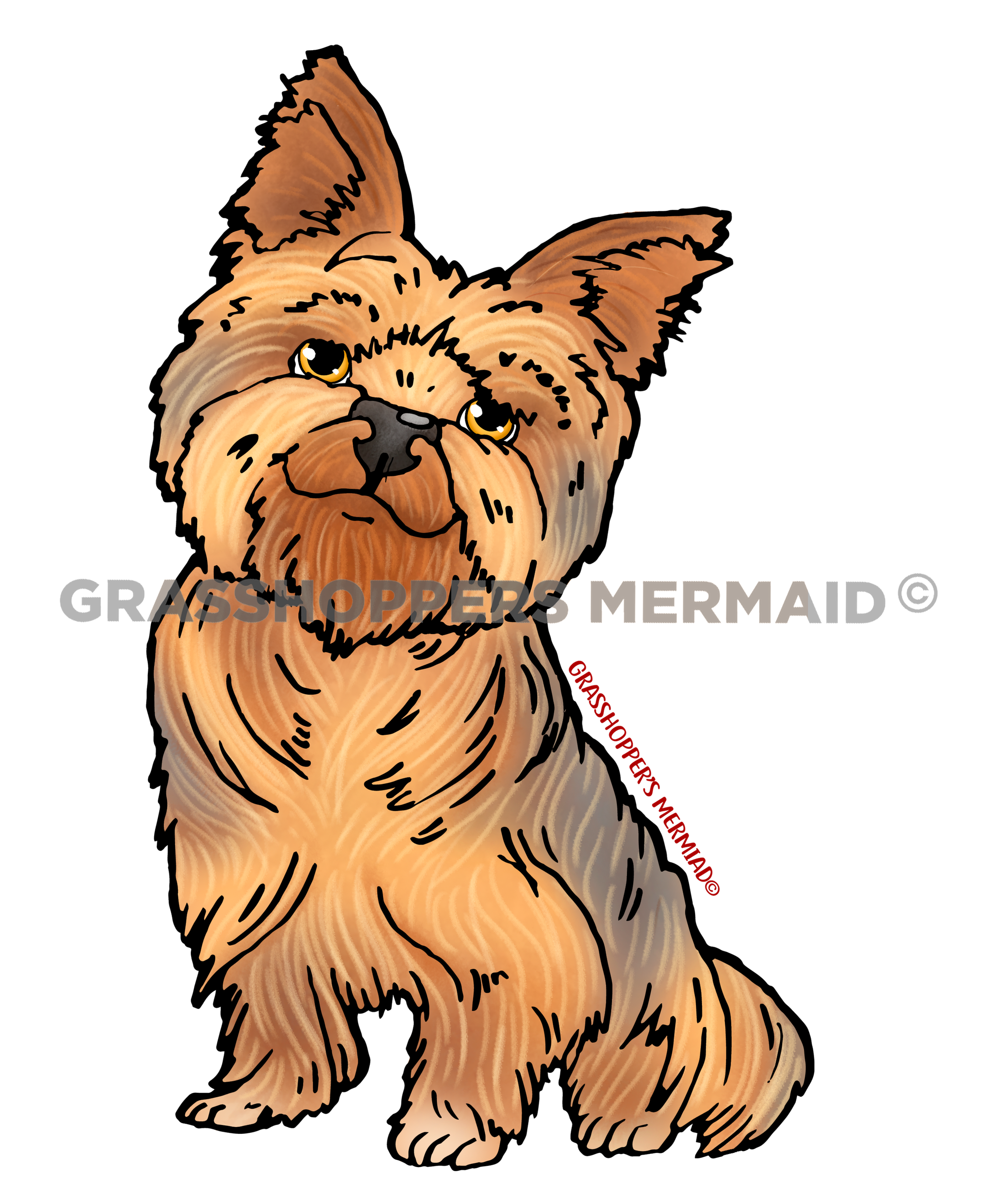 Yorkie