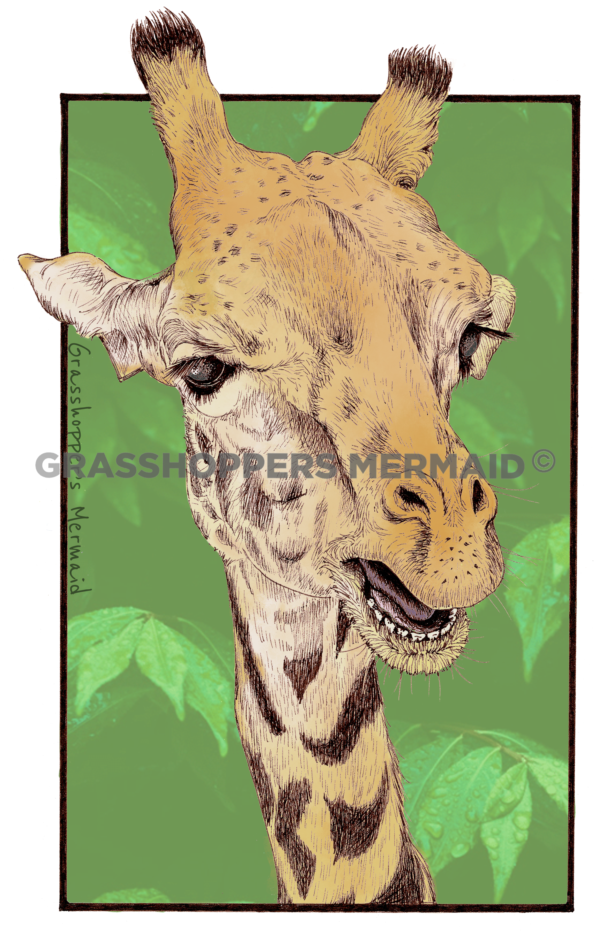 Giraffe Eating