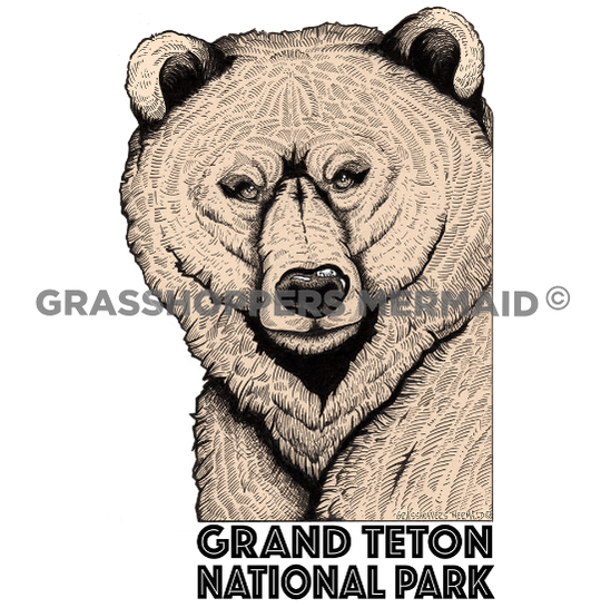 grand teton national park sticker