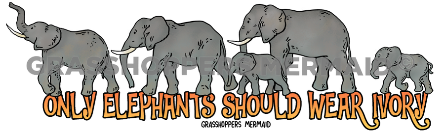 African Elephant Lineup