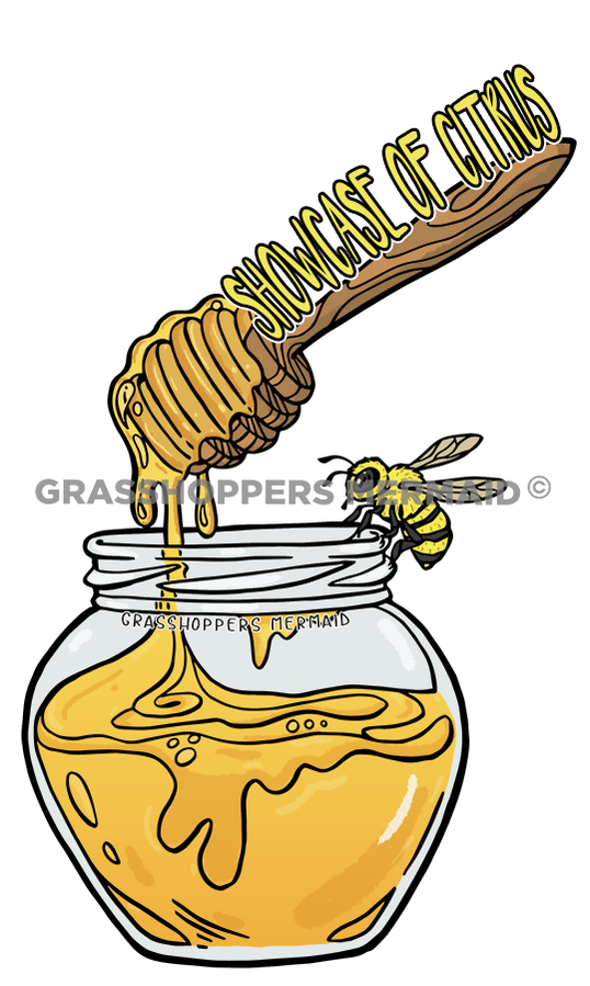 Honey Dabber Pot