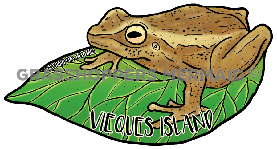 Coqui Frog