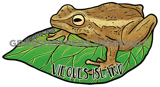 Coqui Frog