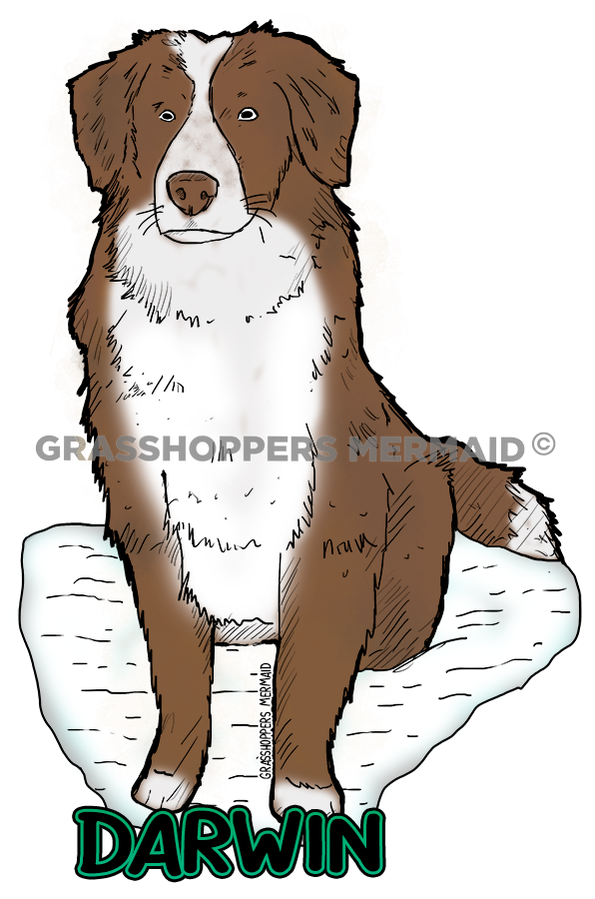Darwin the Dog