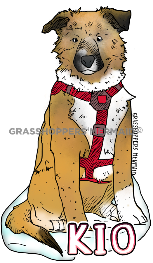 Kio the Dog