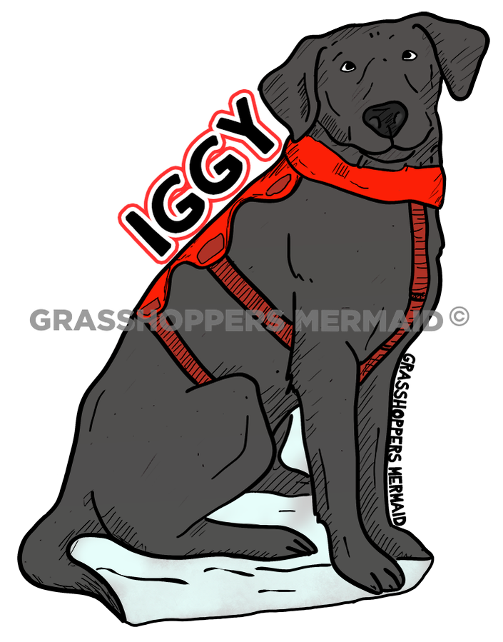 Iggy the Dog