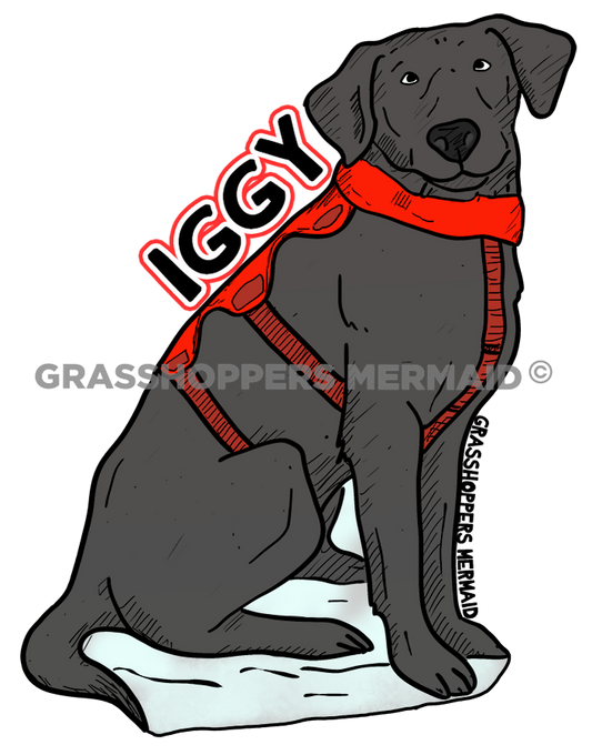Iggy the Dog