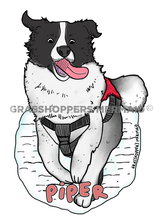 Piper the Dog