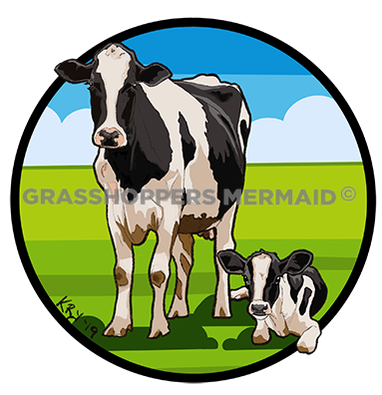 Jersey Cows