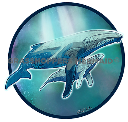 Humpback Spotlight