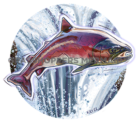 Salmon Jump