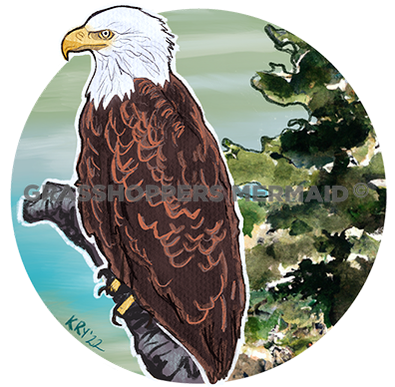 Bald Eagle Perch