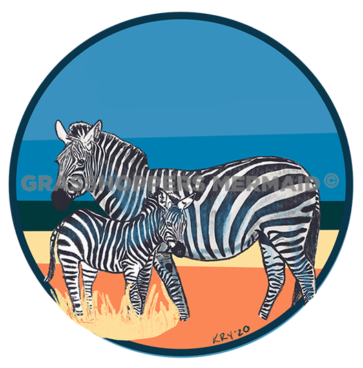 Zebra Family