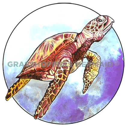Hawksbill Sea Turtle