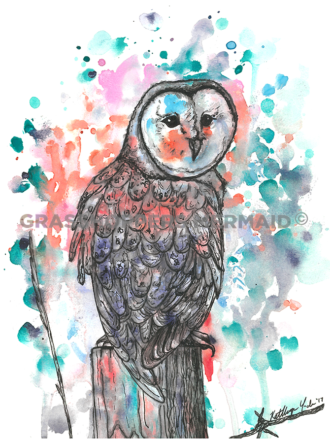 Watercolor Barn Owl