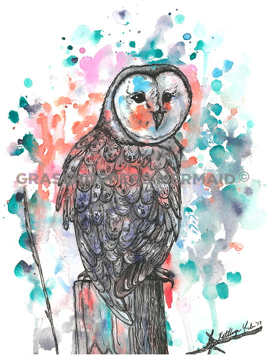 Watercolor Barn Owl