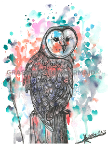 Watercolor Barn Owl
