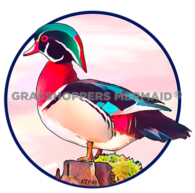 Wood Duck