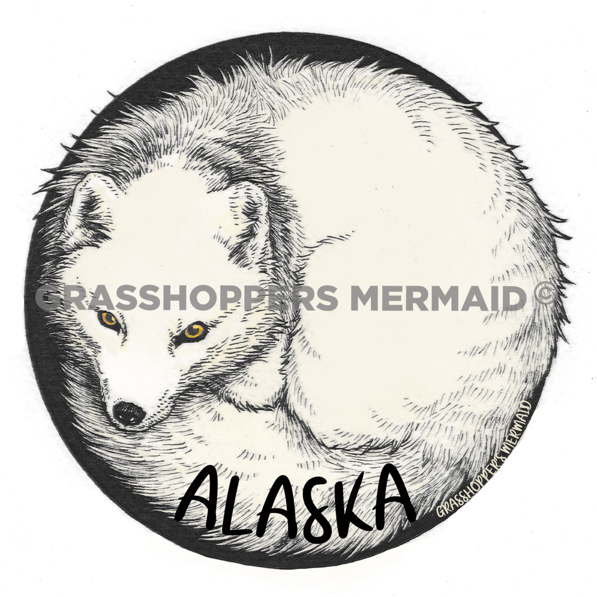 Arctic Fox