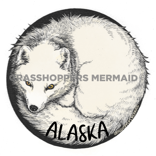 Arctic Fox