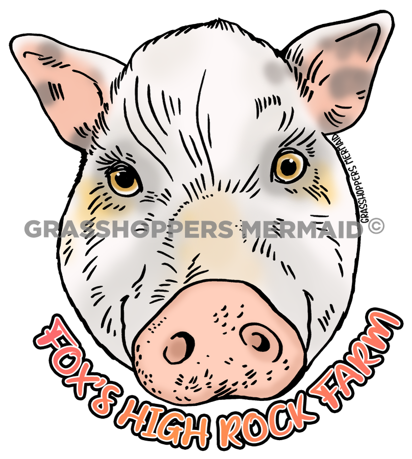 Patsy Swine the Pig