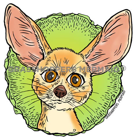 Fennec Fox