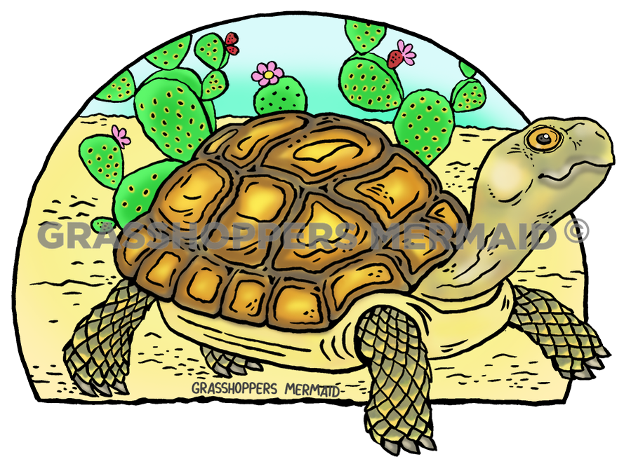 Desert Tortoise - Desert Wildlife Sticker