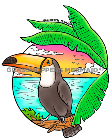 Toucan