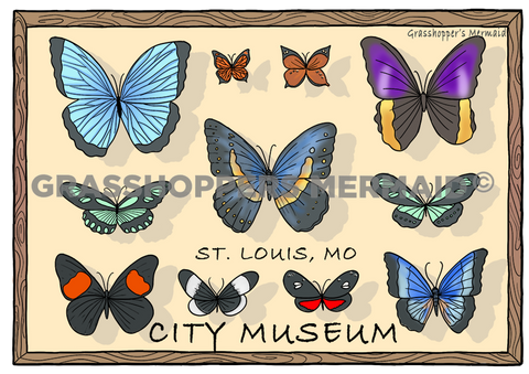 Framed Butterflies