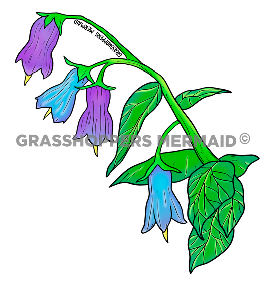 Chiming Bells Flower