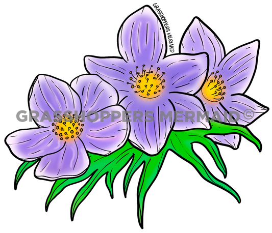 Anemone Flower