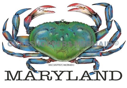 Blue Crab Solo