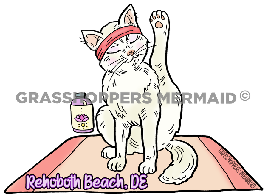 Yoga Cat