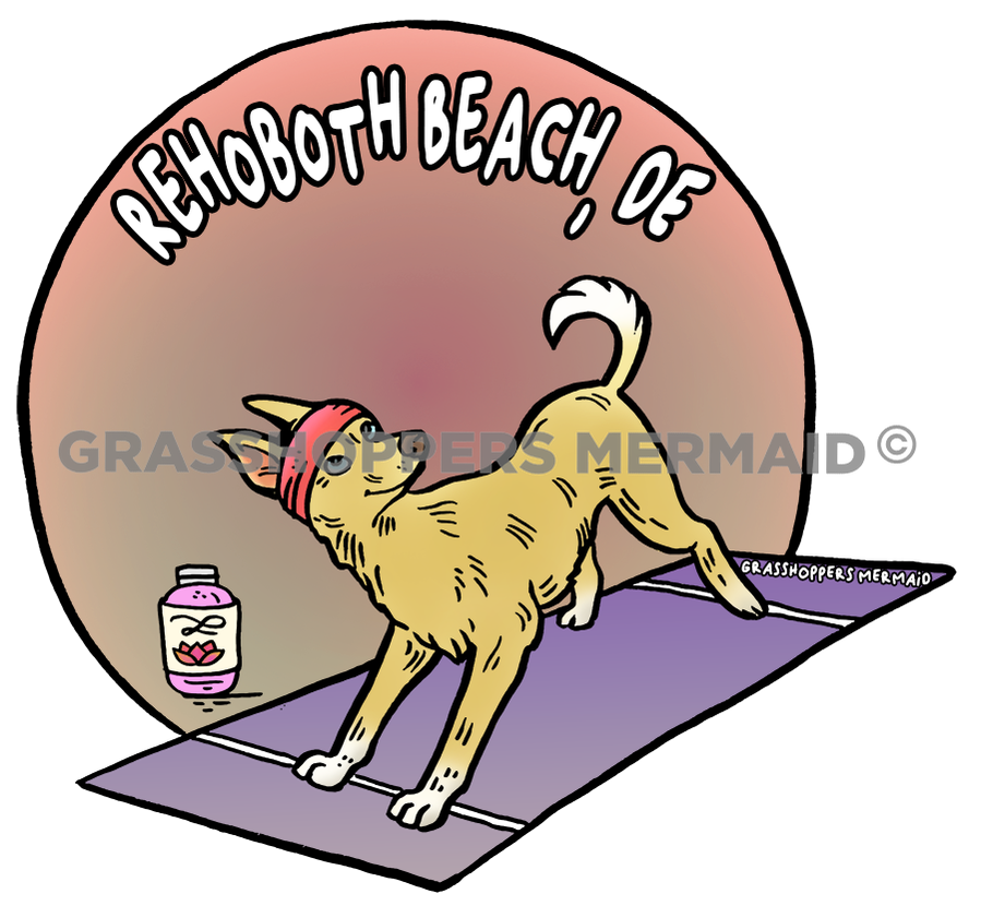 Yoga Dog
