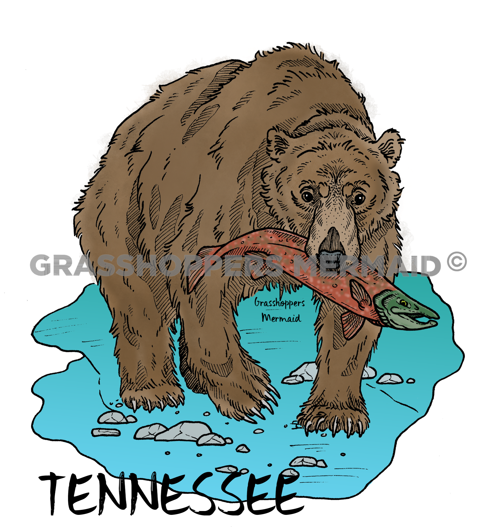 Brown Bear Salmon Catch