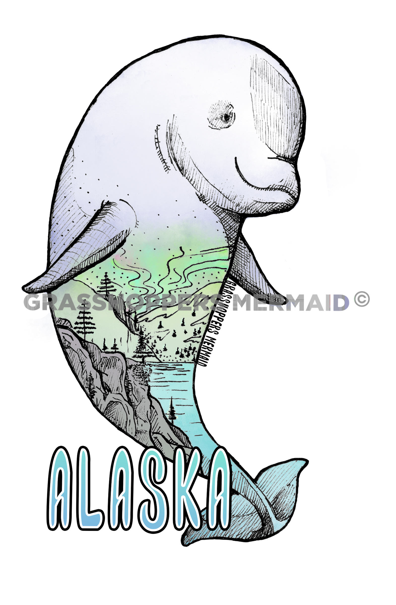 Beluga Whale
