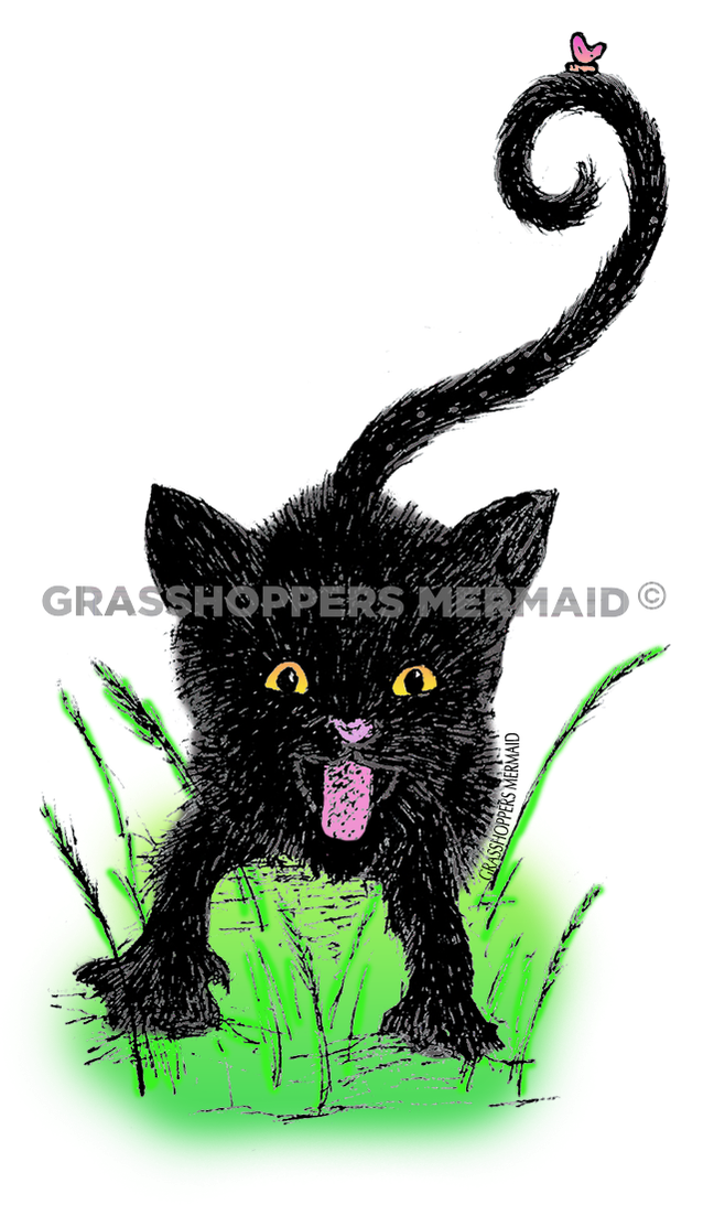 Black Beauty Cat