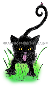 Black Beauty Cat