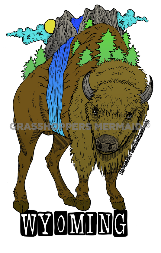Bison Hills