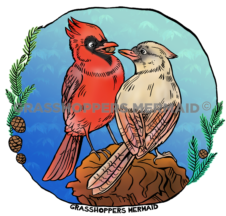 Cardinal Snacktime