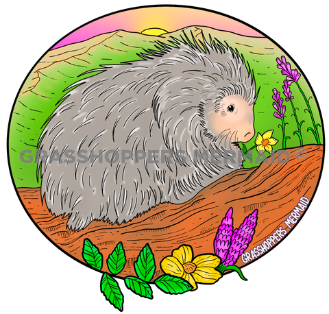 Porcupine