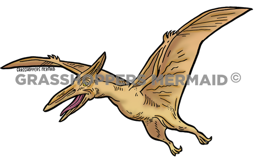 Pteradactyl