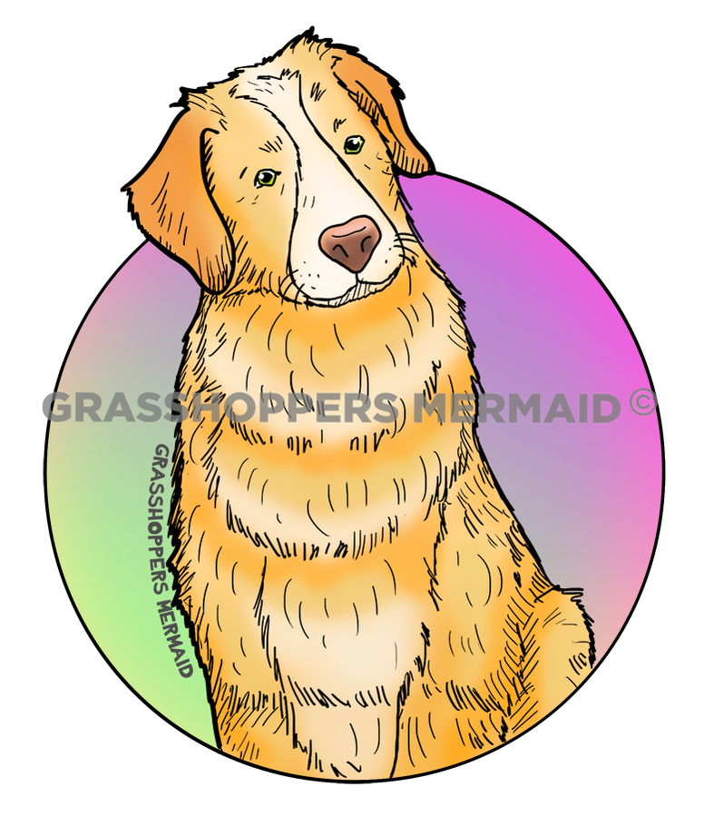 Pup Smarts