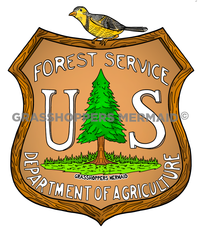 US Forest Service Sign