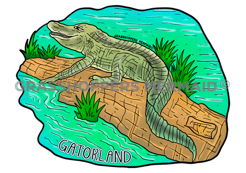 Alligator Tanning