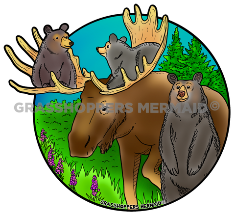Moose & Bear