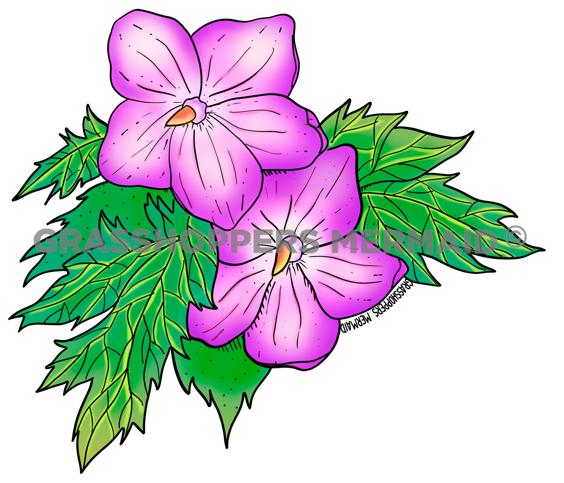 Cranesbill Flower