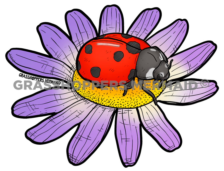 Ladybug