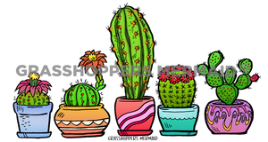 Cactus Lineup