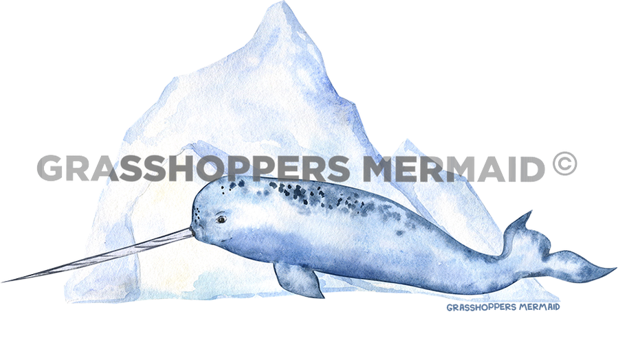 Narwhal Iceberg